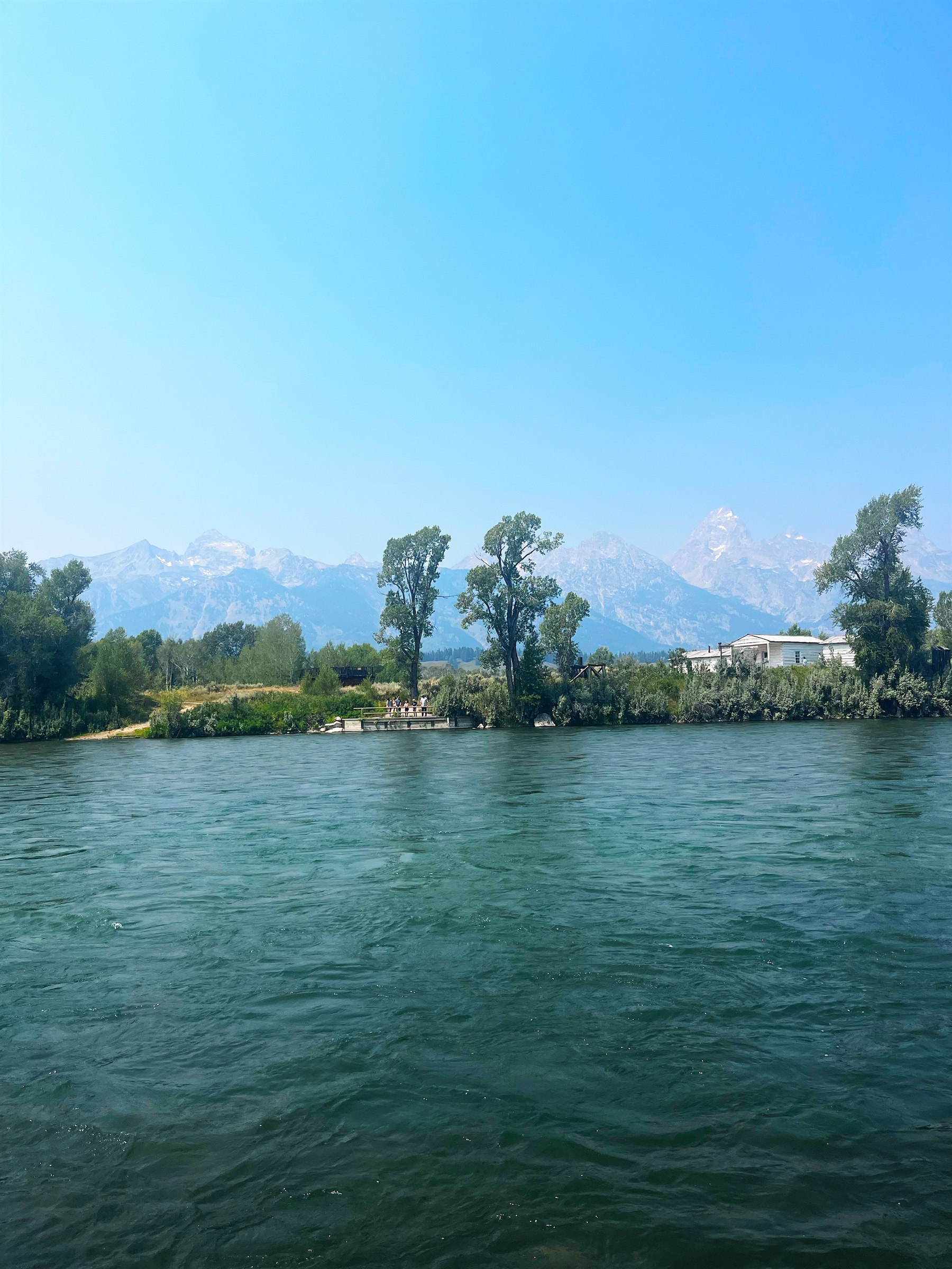 A river bending through summer trees.